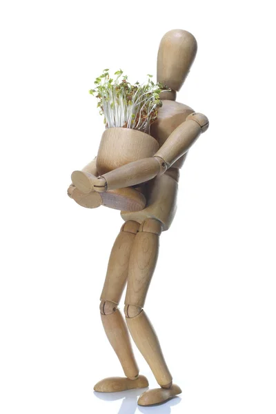 Wooden dummy and pot with cuckooflower — Stock Photo, Image