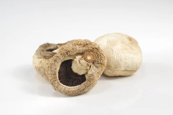 Three Dried Mushrooms Isolated Champignon — Stock Photo, Image
