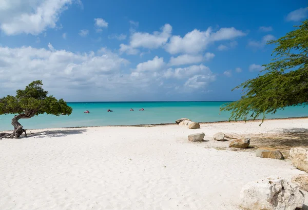 Plage de sable fin d'Aruba — Photo