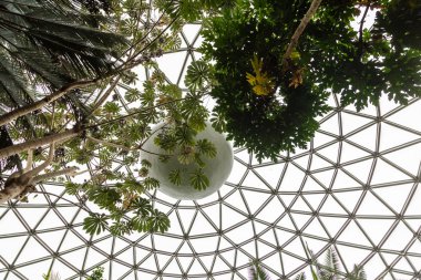 Roof of Geodesic Dome clipart