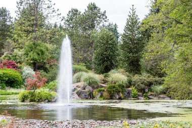 Vancouver'da göl çeşme
