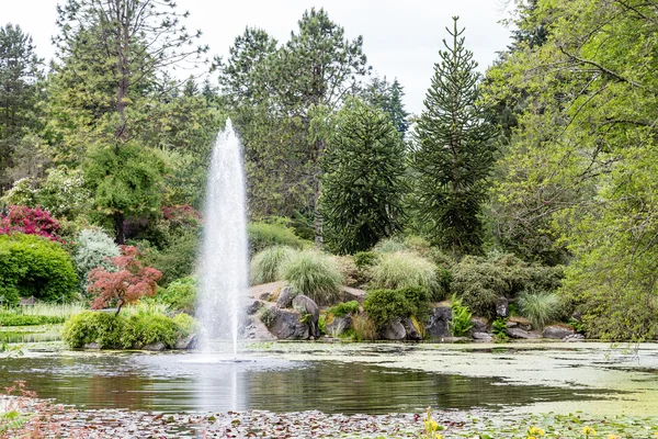 Lake Fountain in Vancouver — Stock Photo, Image
