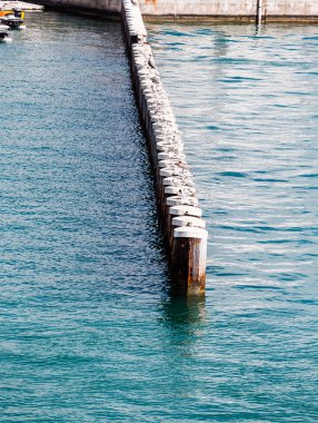 Martılar dalgakıran üzerinde