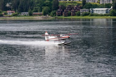 Kahverengi ve beyaz deniz uçağı Juneau