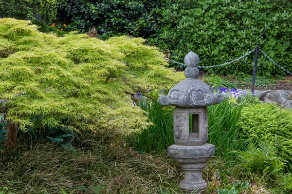 Japonca akçaağaç ve heykel — Stok fotoğraf