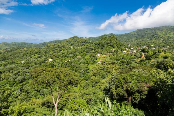 Petites maisons sur la colline tropicale luxuriante — Photo