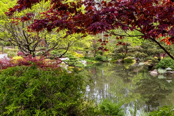 Lago a través de arces japoneses —  Fotos de Stock