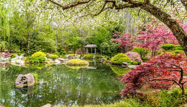 Estanque tranquilo en jardín japonés —  Fotos de Stock