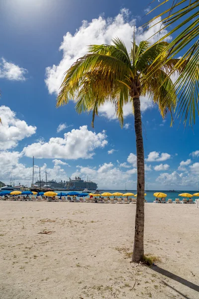 Caribbean Beach with Palm Tree — Stock Photo, Image