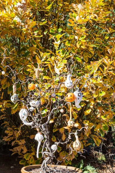 Décorations d'Halloween dans un arbre Autum — Photo