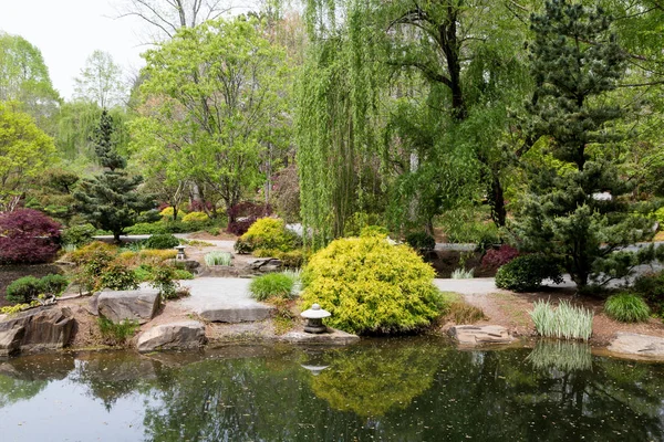 Greenery Around Japanese Pond — Stock Photo, Image