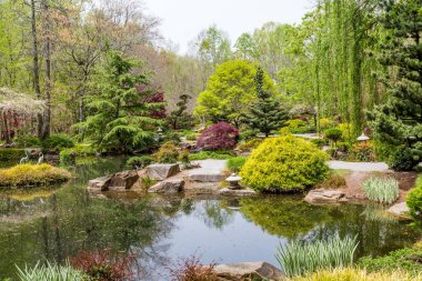 Maples ve herdem yeşil Japon bahçe içinde