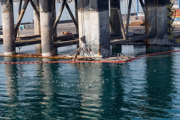 Alimentation des oiseaux à la base de la plate-forme pétrolière — Photo