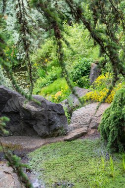 Köknar ağaçları Ile granit kayalar