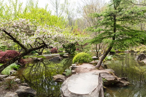 Piedras en jardín japonés —  Fotos de Stock