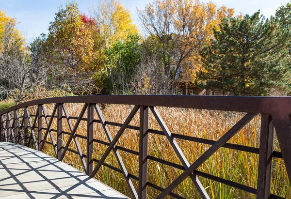 Puente sobre hierba de pantano — Foto de Stock