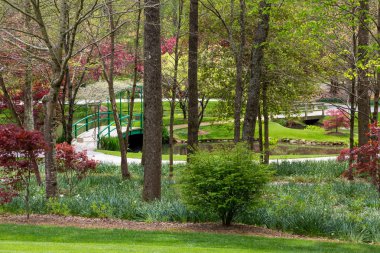 Bahçede küçük köprü