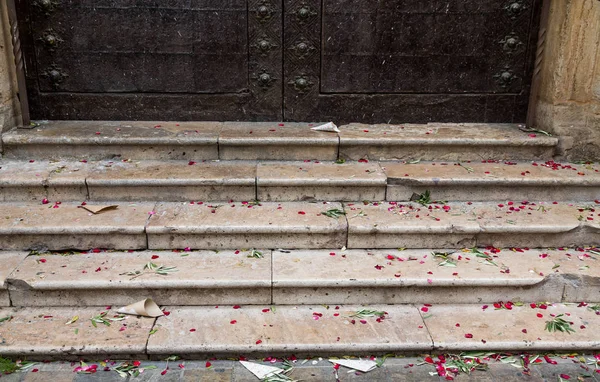 Rose Petals on Church Steps — Stock Photo, Image