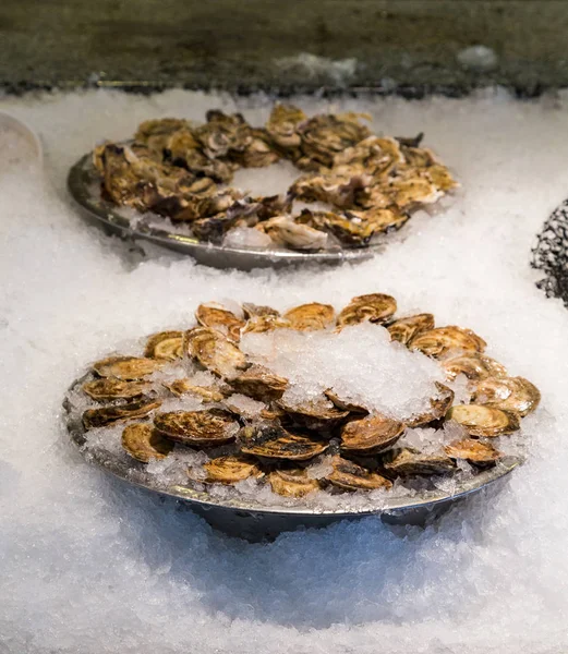 Trays of Oysters on Ice — Stock Photo, Image