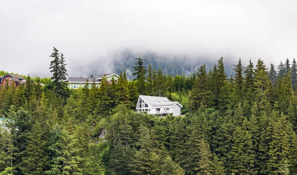 Casa Bianca in Alberi Verdi — Foto Stock