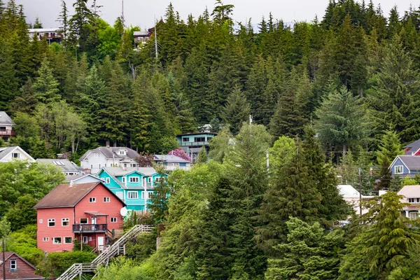 Casas coloridas hasta abeto cubierto Alaskan Hill —  Fotos de Stock