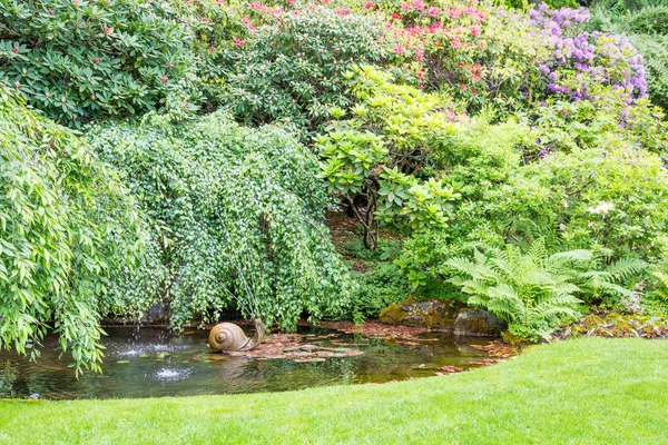 Groene bomen en varens rond kleine vijver — Stockfoto