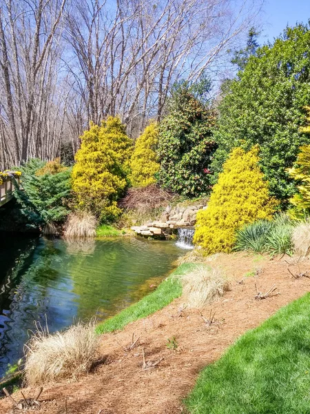 Garden Around Lake Pruned for Winter — Stock Photo, Image