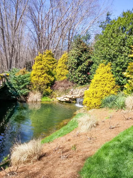 Giardino intorno al lago potato per l'inverno — Foto Stock