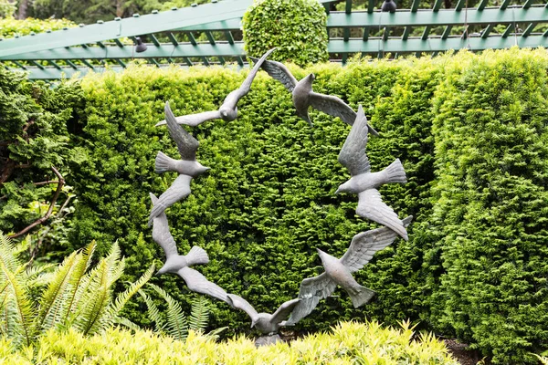 Círculo de palomas —  Fotos de Stock