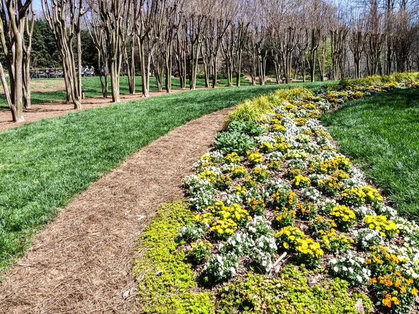 Linee curve del giardino paesaggistico — Foto Stock