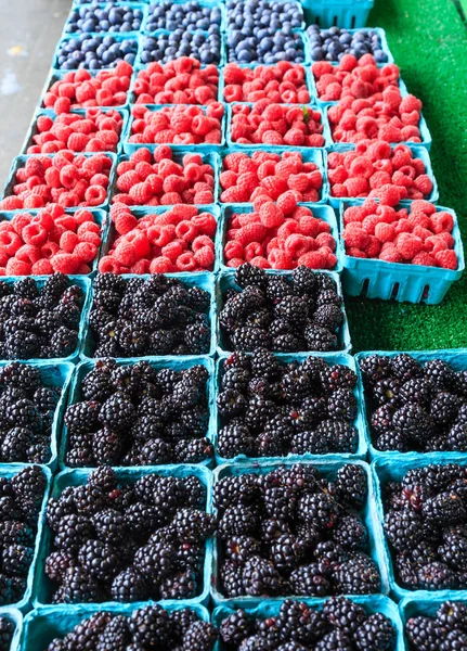 Blackberries Raspberries and BlueBerries — Stock Photo, Image