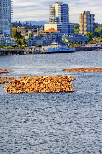 Timmer som forsränning i Nanaimo — Stockfoto