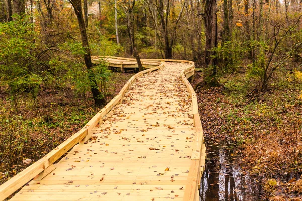 New Wood Trail in Fall — Stock Photo, Image