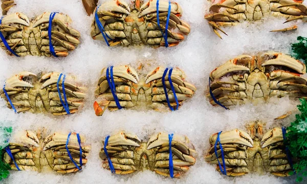 Färska krabbor lindade på isen — Stockfoto