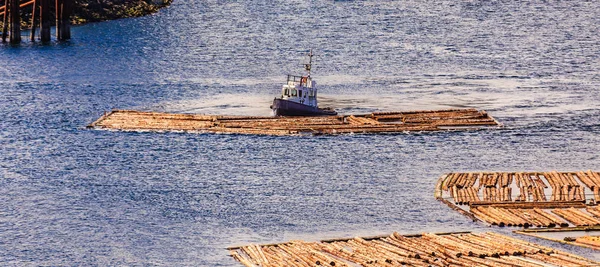 Rebocador Empurrando Raft Log — Fotografia de Stock