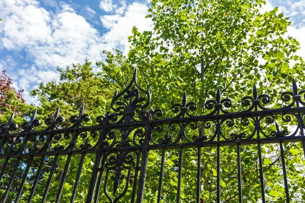 Black Wrought Iron Against Green Trees — Stock Photo, Image