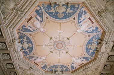 Boyalı tavan sekizgen