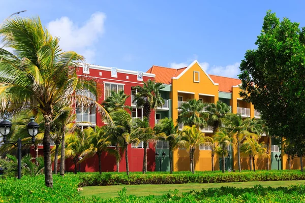 Palmy w Curacao Resort — Zdjęcie stockowe