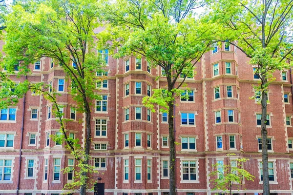 Ağaçlar büyük tuğla bina tarafından