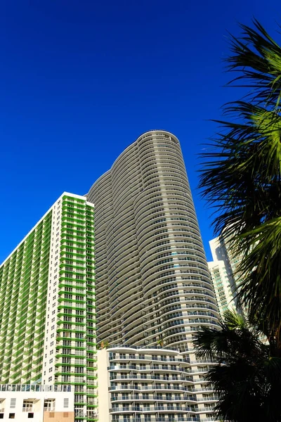 Modernas torres del hotel más allá de palmeras — Foto de Stock