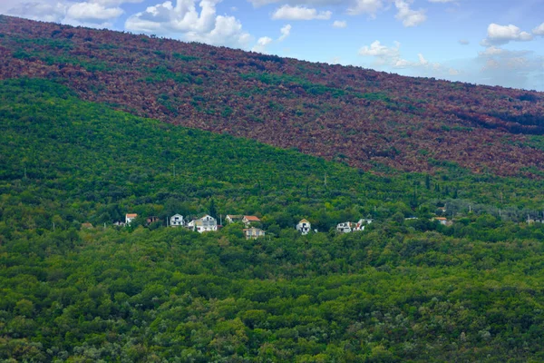 Casas en Green Hill Cerca de la línea de fuego — Foto de Stock