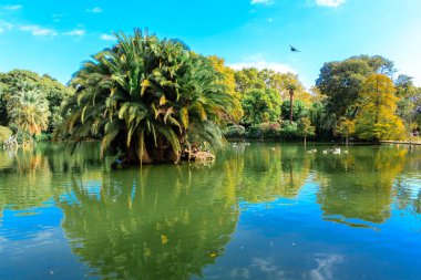 Mavi Göl üzerinde yeşil ağaçlar