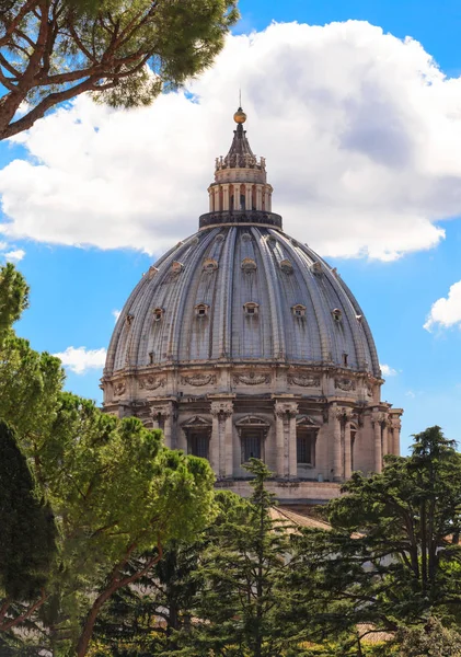 Saint Peters Through The Trees — Stock Photo, Image