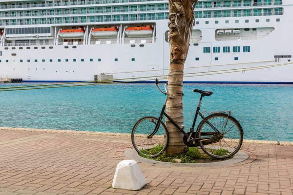 クルーズ船とヤシの木での自転車 — ストック写真