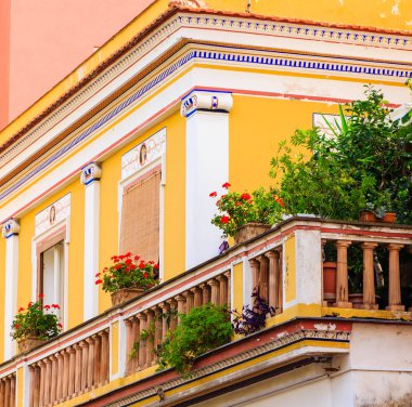 Veranda çiçekler parlak sarı eve