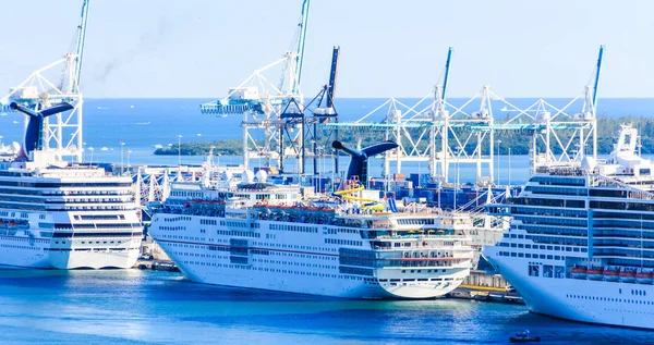 Lijn van de cruiseschepen in Miami — Stockfoto