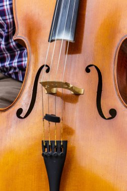 Bir dik bas yakın çekim