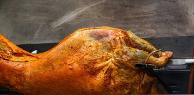 Koca Domuz Tükürüğü.