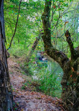 Nehir boyunca Woodland Yolu