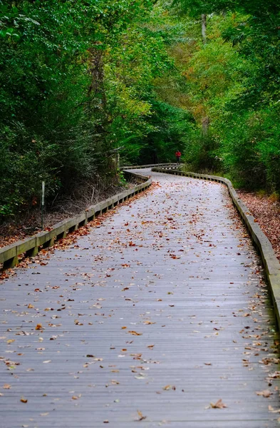 Sonbaharda Yürüyüş Yolu — Stok fotoğraf